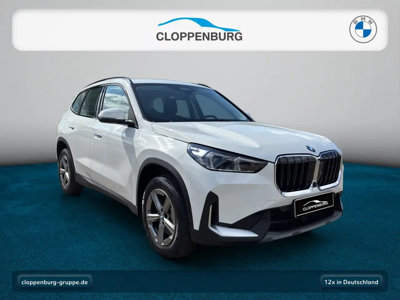 BMW X1, фото 8