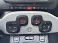 Fiat Panda 1.0 FireFly 70cv S&S Hybrid City Cross Grigio - thumbnail 16