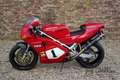 Ducati 888 Superbike SP4 #251 of 500, SP-series, Superbike Rood - thumbnail 1