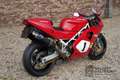 Ducati 888 Superbike SP4 #251 of 500, SP-series, Superbike Piros - thumbnail 6