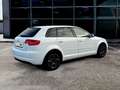 Audi A3 1.6 tdi Young Edition 90cv ADATTA NEOPATENTATI Bianco - thumbnail 5