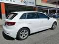 Audi A3 A3 Sportback 30 1.5 g-tron Business 131cv s-tronic Bianco - thumbnail 8