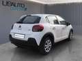 Citroen C3 1.5 Bluehdi 100cv Business combi N1 M6 my20 Weiß - thumbnail 4
