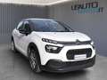 Citroen C3 1.5 Bluehdi 100cv Business combi N1 M6 my20 Weiß - thumbnail 2