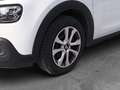Citroen C3 1.5 Bluehdi 100cv Business combi N1 M6 my20 Weiß - thumbnail 7