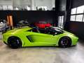 Lamborghini Aventador LP 700-4 Roadster VERDE ITHACA GRÜN Vert - thumbnail 11