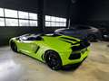 Lamborghini Aventador LP 700-4 Roadster VERDE ITHACA GRÜN Vert - thumbnail 13