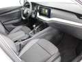 Skoda Octavia Ambition TDI Argent - thumbnail 7