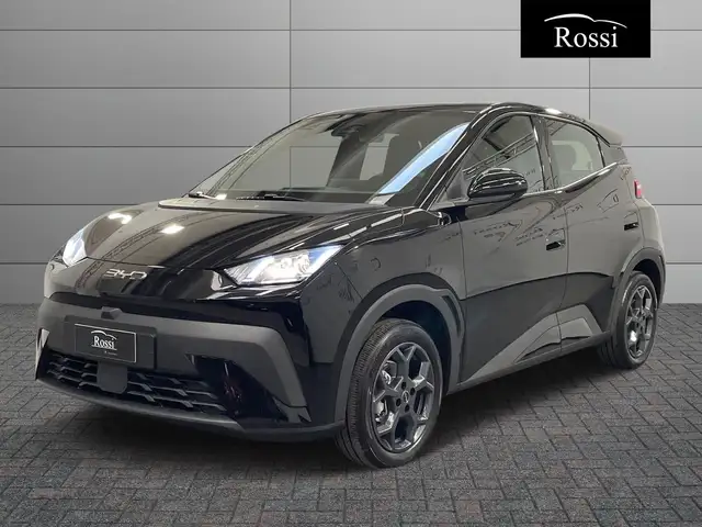 BYD Dolphin SURF Boost