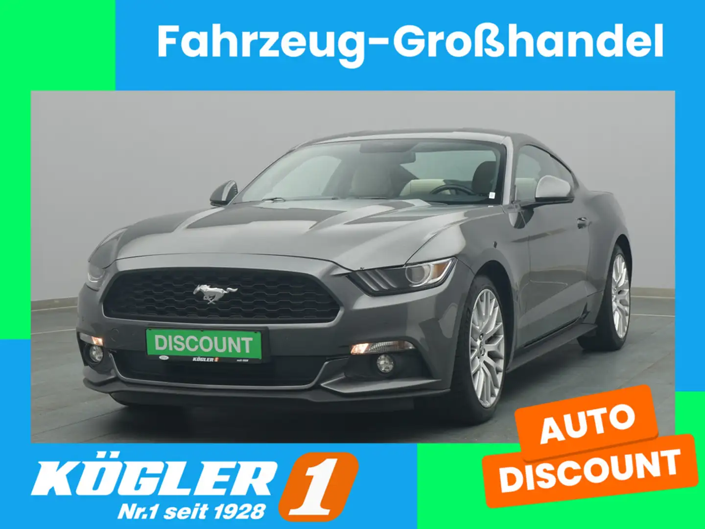 Ford Mustang Coupé 316PS/ Navi/PDC Gris - 1