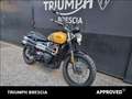 Triumph Scrambler Abs PRONTA CONSEGNA Gelb - thumbnail 2