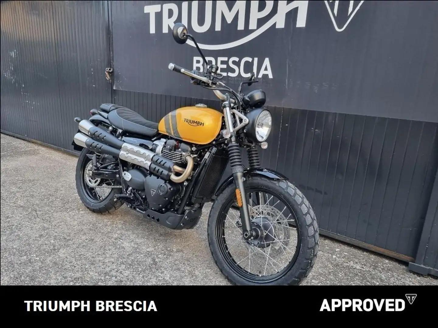 Triumph Scrambler Abs PRONTA CONSEGNA Gelb - 2