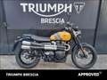 Triumph Scrambler Abs PRONTA CONSEGNA Gelb - thumbnail 1