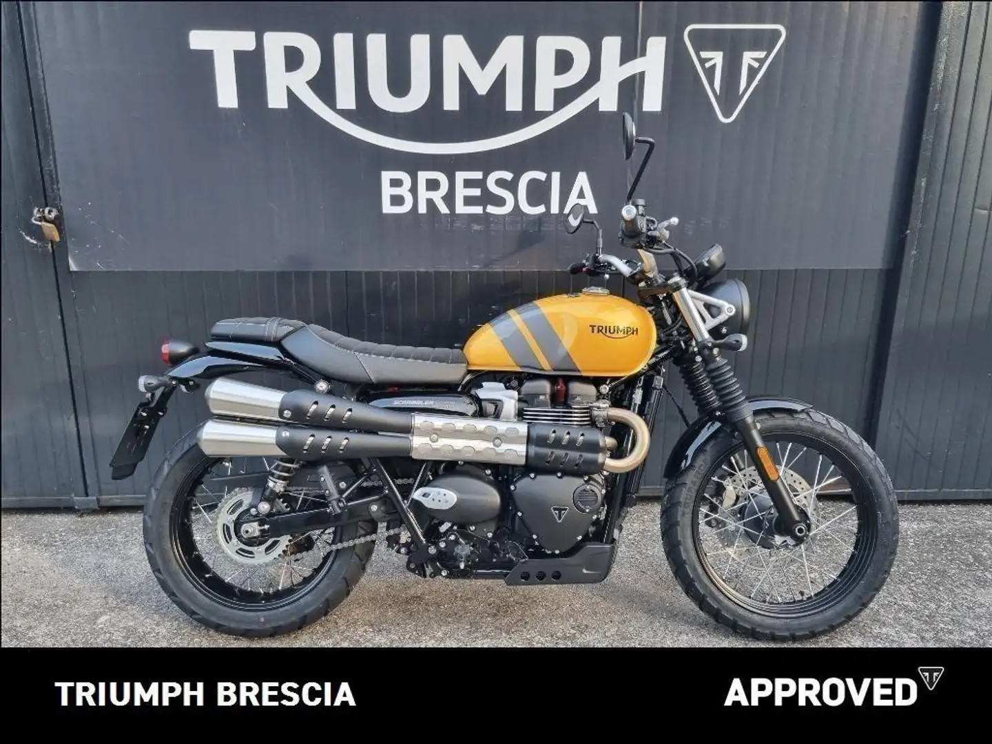 Triumph Scrambler Abs PRONTA CONSEGNA Geel - 1