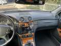 Mercedes-Benz CLK 270 Coupe cdi Avantgarde Comand Edition - thumbnail 5