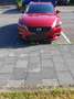 Mazda 6 Kombi SKYACTIV-G 192 Drive KIZOKU INTENSE Rot - thumbnail 5