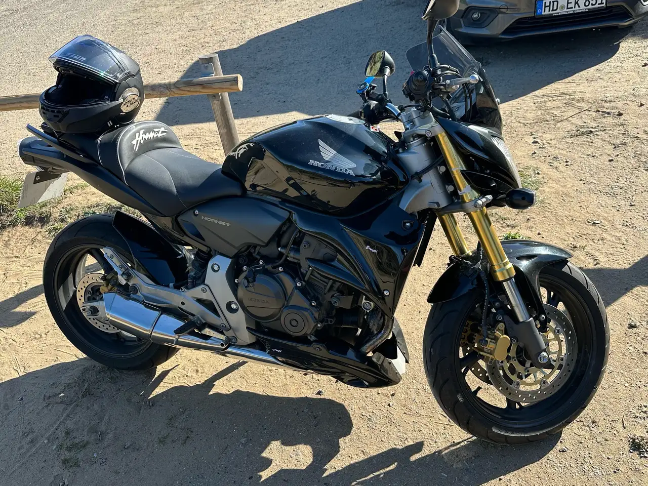 Honda Hornet