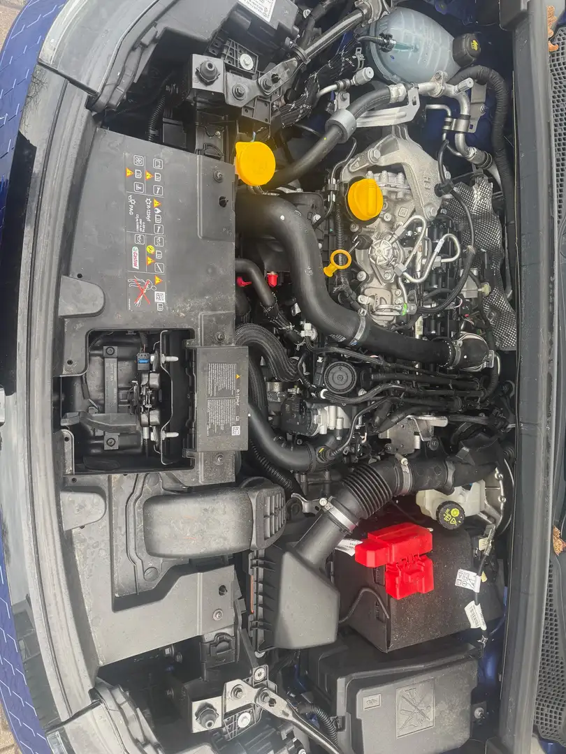 Renault Captur Techno Automatik Junger GW Blau - 2