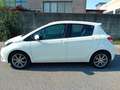 Toyota Yaris Yaris III 2011 5p 1.4 d-4d Active m-mt Bianco - thumbnail 6