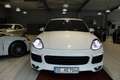 Porsche Cayenne S Diesel Platinum Edition PDLS*PASM Bianco - thumbnail 7