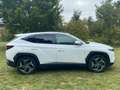 Hyundai TUCSON 1.6 T-GDI PHEV *Navi*ACC*LED*RFKamera* Weiß - thumbnail 8