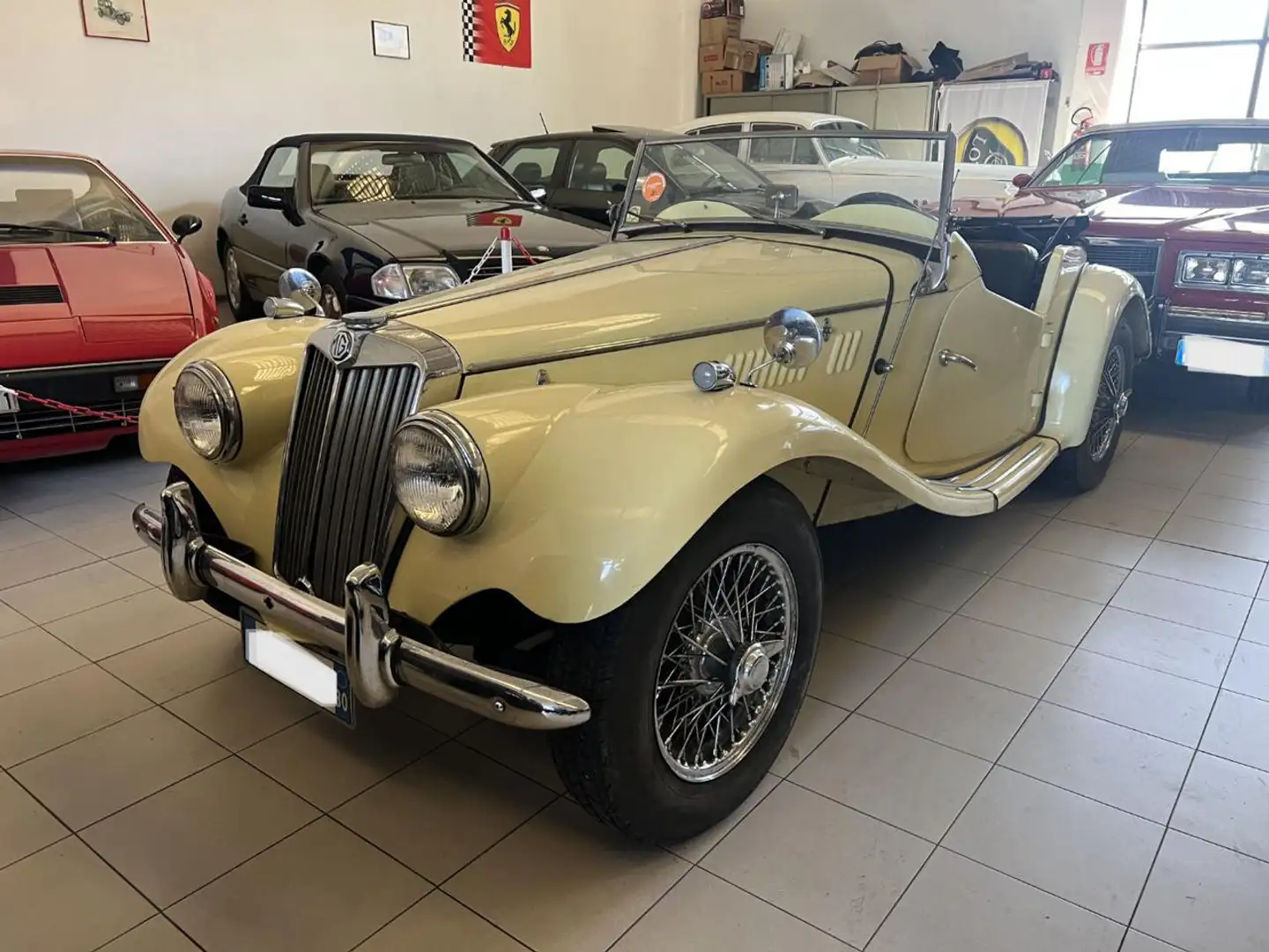 MG TF 1500  ASI+CRS Beige - 1