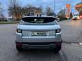 Land Rover Range Rover Evoque Pure Argento - thumbnail 6