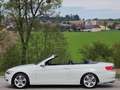 BMW 330 i Cabrio* Automatik* Navi* Leder* Sitzheizung* PDC* Weiß - thumbnail 6