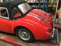 MG A 1500 CABRIOLET 1956, RESTAURATIE TOT CONCOURSSTA Rot - thumbnail 28