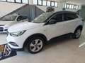 Opel Grandland X Grandland X 1.6 ecotec b-Color s - thumbnail 3