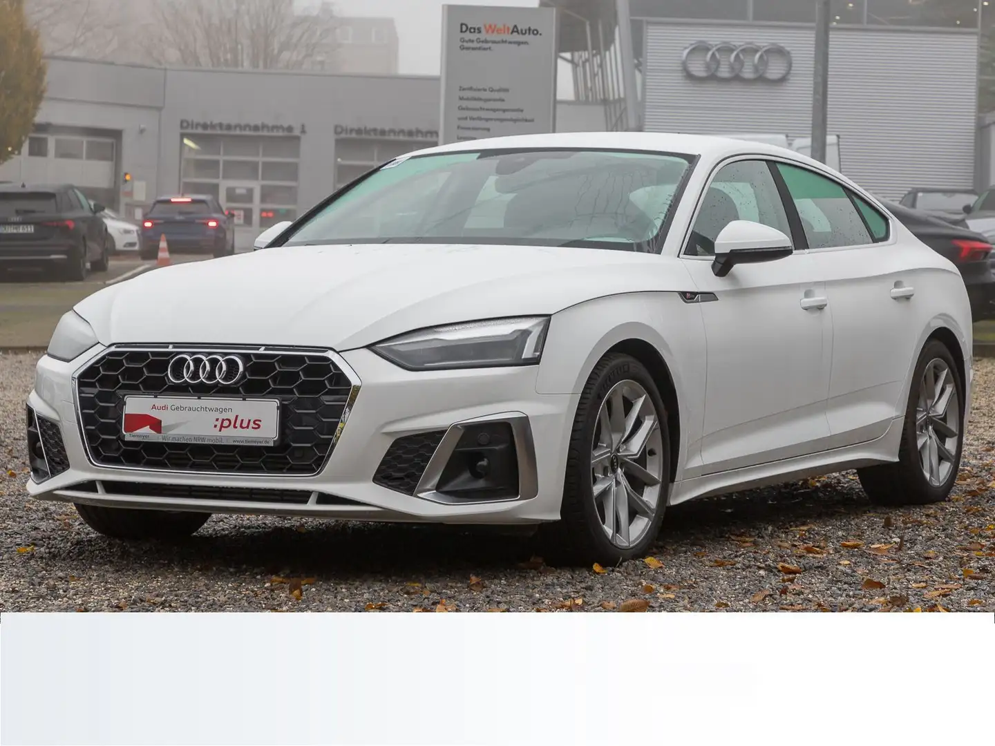 Audi A5 35 TFSI S LINE VIRTUAL LED LM18 Blanco - 2