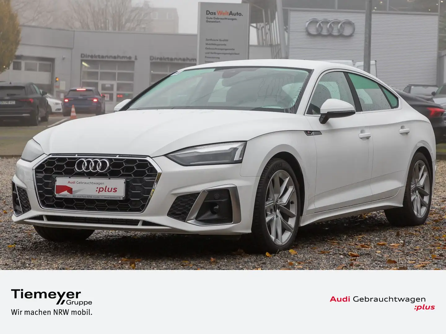 Audi A5 35 TFSI S LINE VIRTUAL LED LM18 Blanco - 1