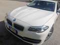 BMW 518 Serie 5 F11 Touring 518d Touring Modern E6 Bianco - thumbnail 4