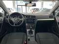 Volkswagen Golf Variant 1.6TDI Business Edition Gris - thumbnail 7