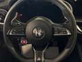 Alfa Romeo Stelvio 2.9  Quadrifoglio Schwarz - thumbnail 12