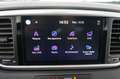 Kia Sportage 1.6 CRDI 136 CV 2WD Mild Hybrid Business Class Argento - thumbnail 13