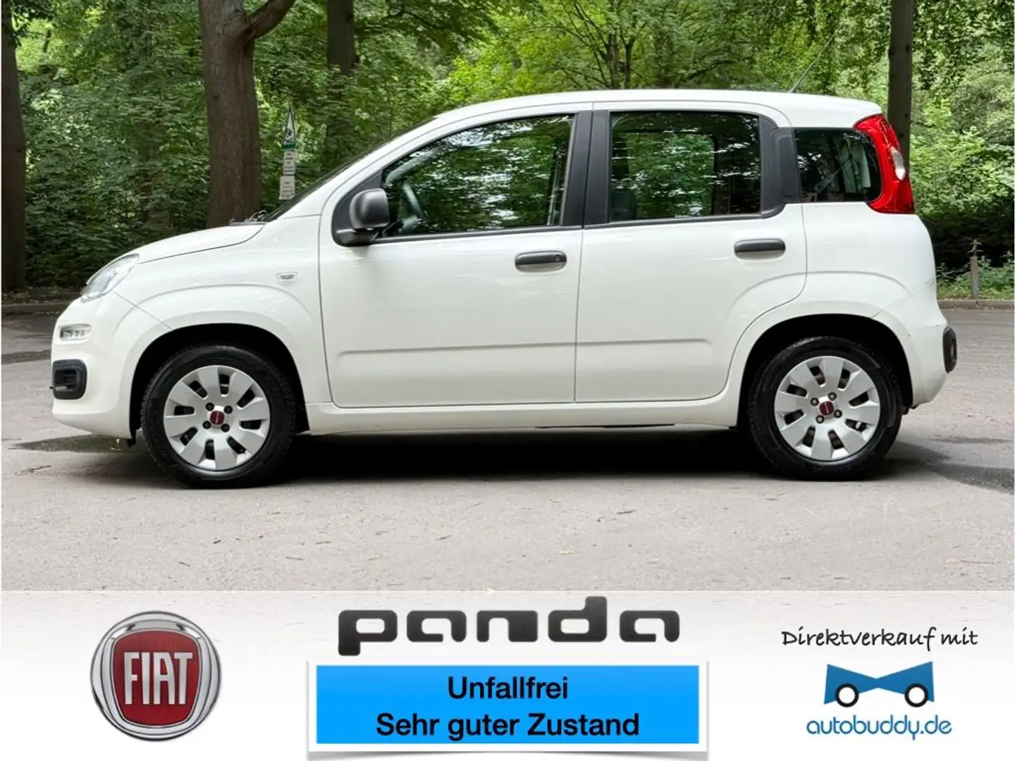 Fiat Panda More *UNFALLFREI, INKL. GARANTIE!* White - 1
