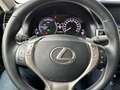 Lexus GS 300 300H BUSINESS LINE CAMERA.  ALL.IN. Gri - thumbnail 14