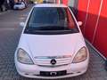 Mercedes-Benz A 170 A-Klasse CDI Elegance Weiß - thumbnail 8