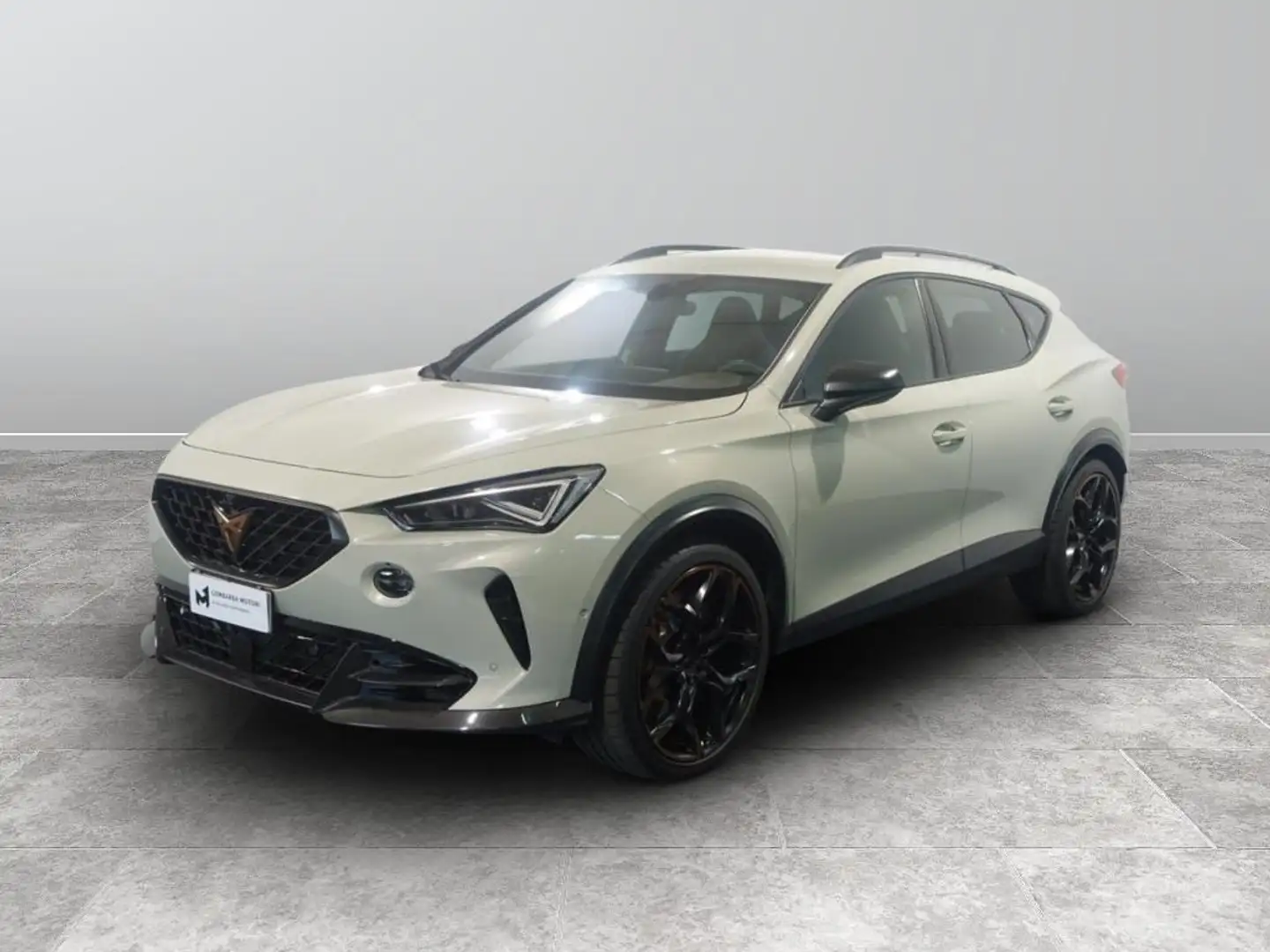 CUPRA Formentor 2.5 tsi VZ5 Taiga Grey 4drive dsg Grigio - 1
