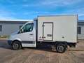 Mercedes-Benz Sprinter 309/311/313/315 CDI (906.131/132/133/134/135/136) Weiß - thumbnail 13