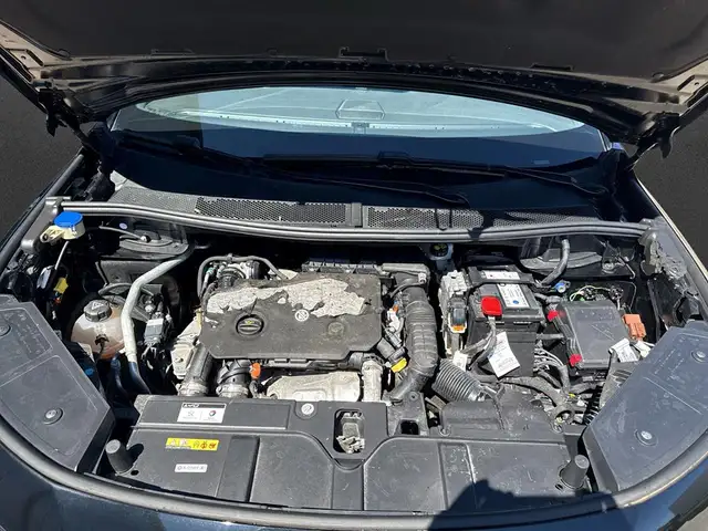 DS Automobiles DS 7 view 8
