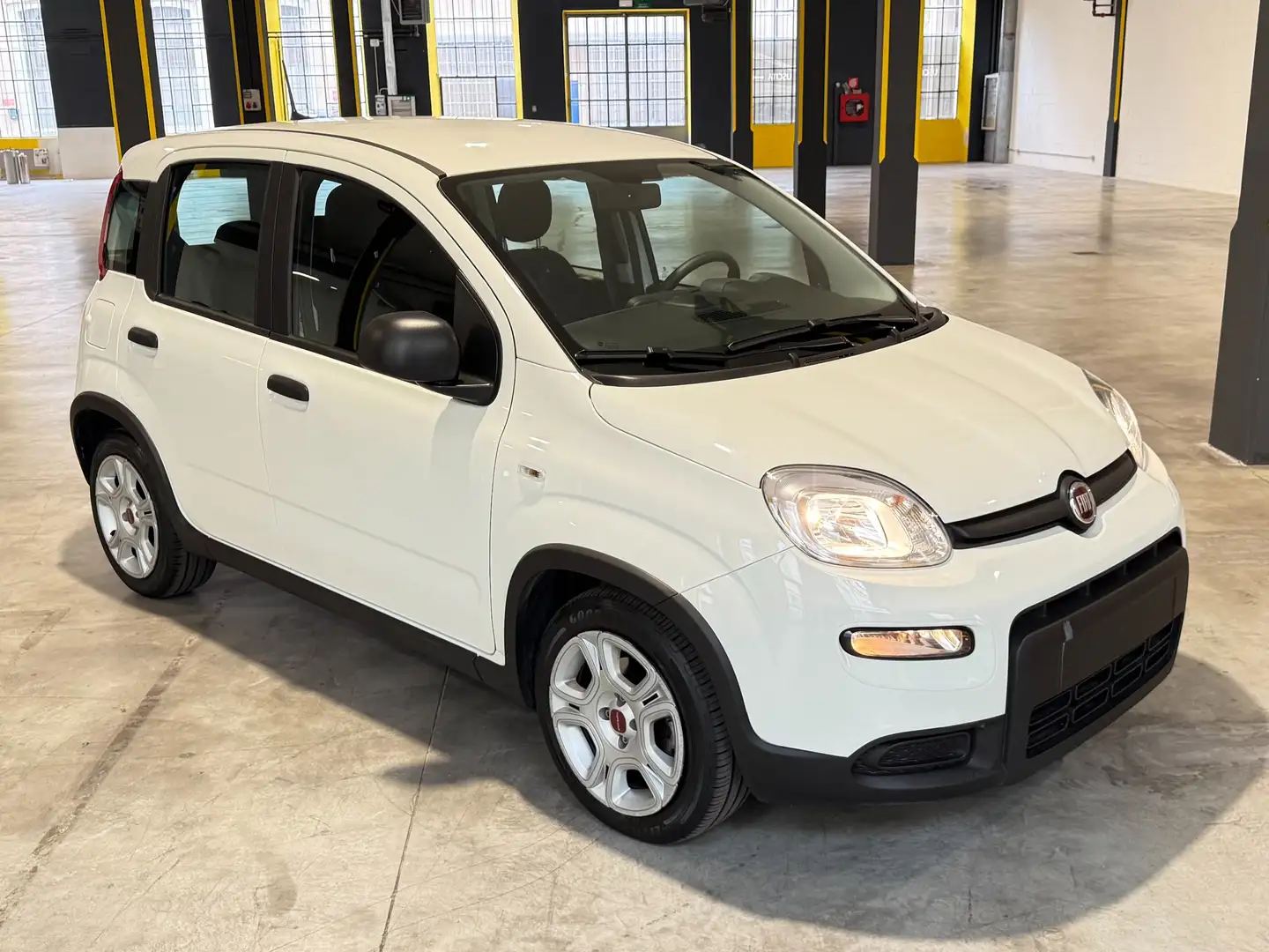 Fiat Panda 1.0 firefly hybrid s Bianco - 1