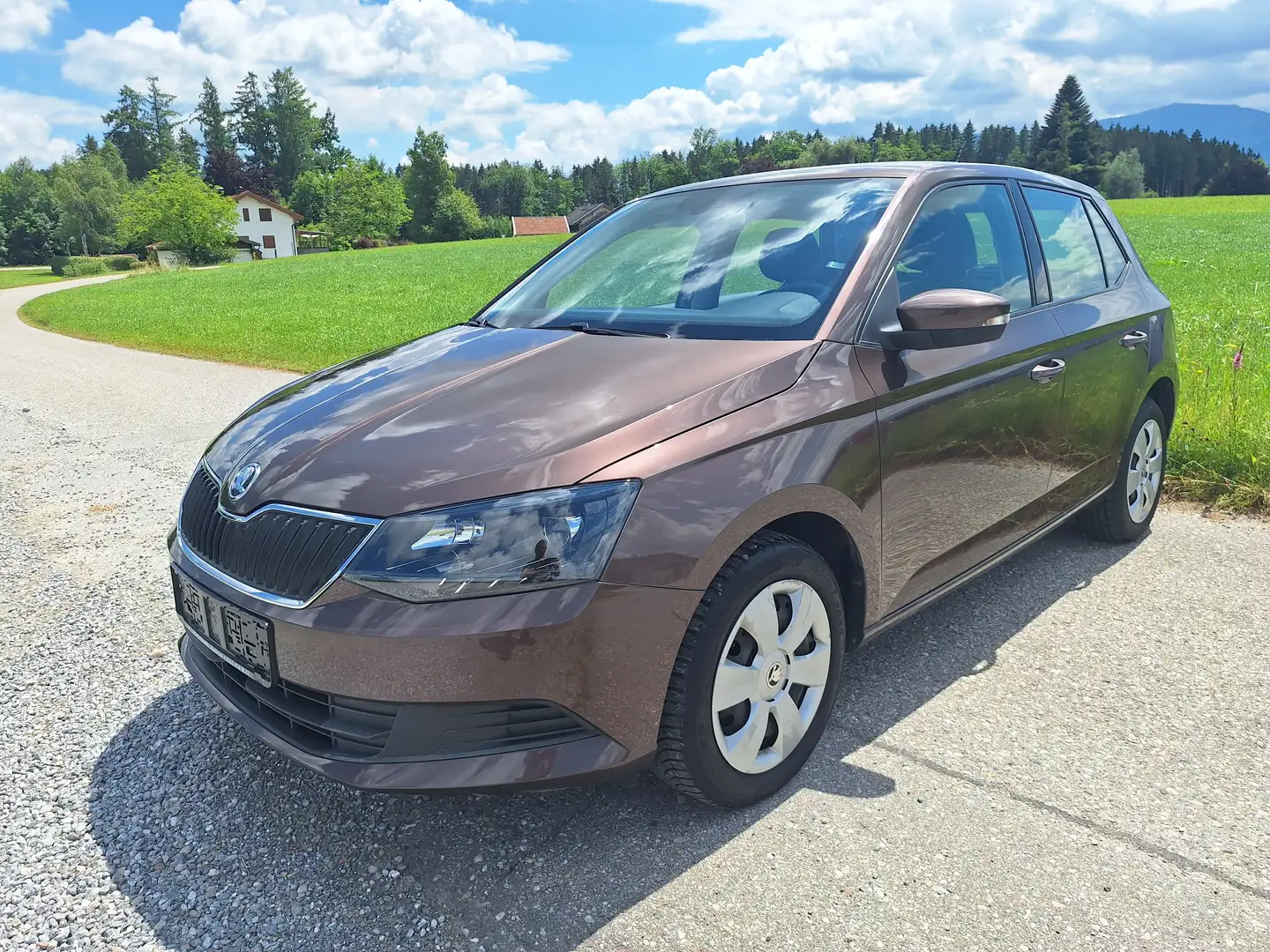 Skoda Fabia Ambition 1,2 TSI, Klima, SH, Navi, Model 2015 Braun - 1