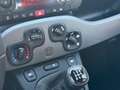 Fiat Panda Panda 1.2 Lounge Grigio - thumbnail 10