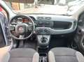 Fiat Panda Panda III 2021 1.0 firefly hybrid s Gris - thumbnail 13