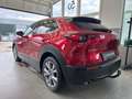 Mazda CX-30 Selection 2.0i*MATRIX,BOSE,360GRAD,AHK* Rot - thumbnail 3