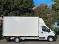 Fiat Ducato 2.3Multijet Koffer Lbw Kopfdichtung Leck Weiß - thumbnail 19