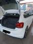 Volkswagen Polo 5p 1.6 tdi Comfortline 95cv - thumbnail 7