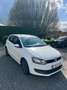 Volkswagen Polo 1.2 CR TDi Trendline DPF Wit - thumbnail 3